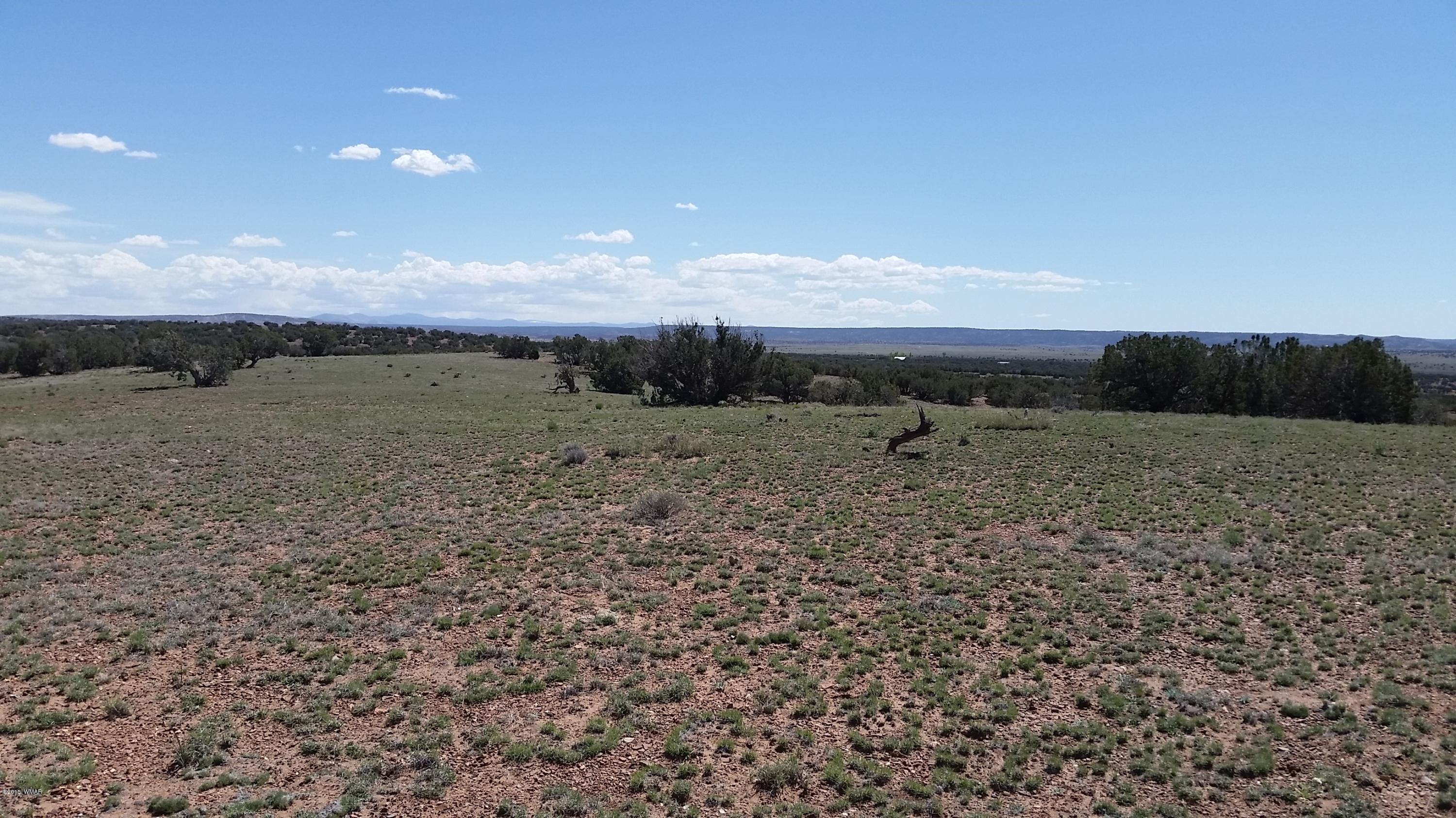 346 Old Hunt Road Concho, AZ 85924 - Photo 5 of 7