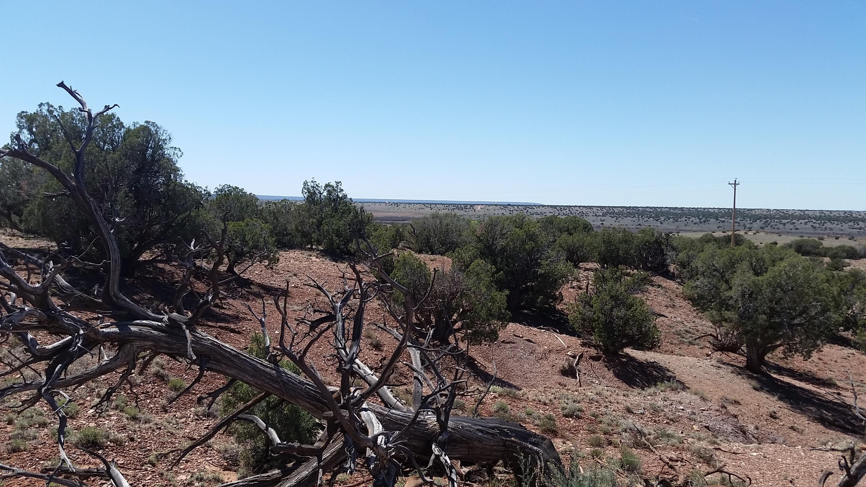 346 Old Hunt Road Concho, AZ 85924 - Photo 6 of 7
