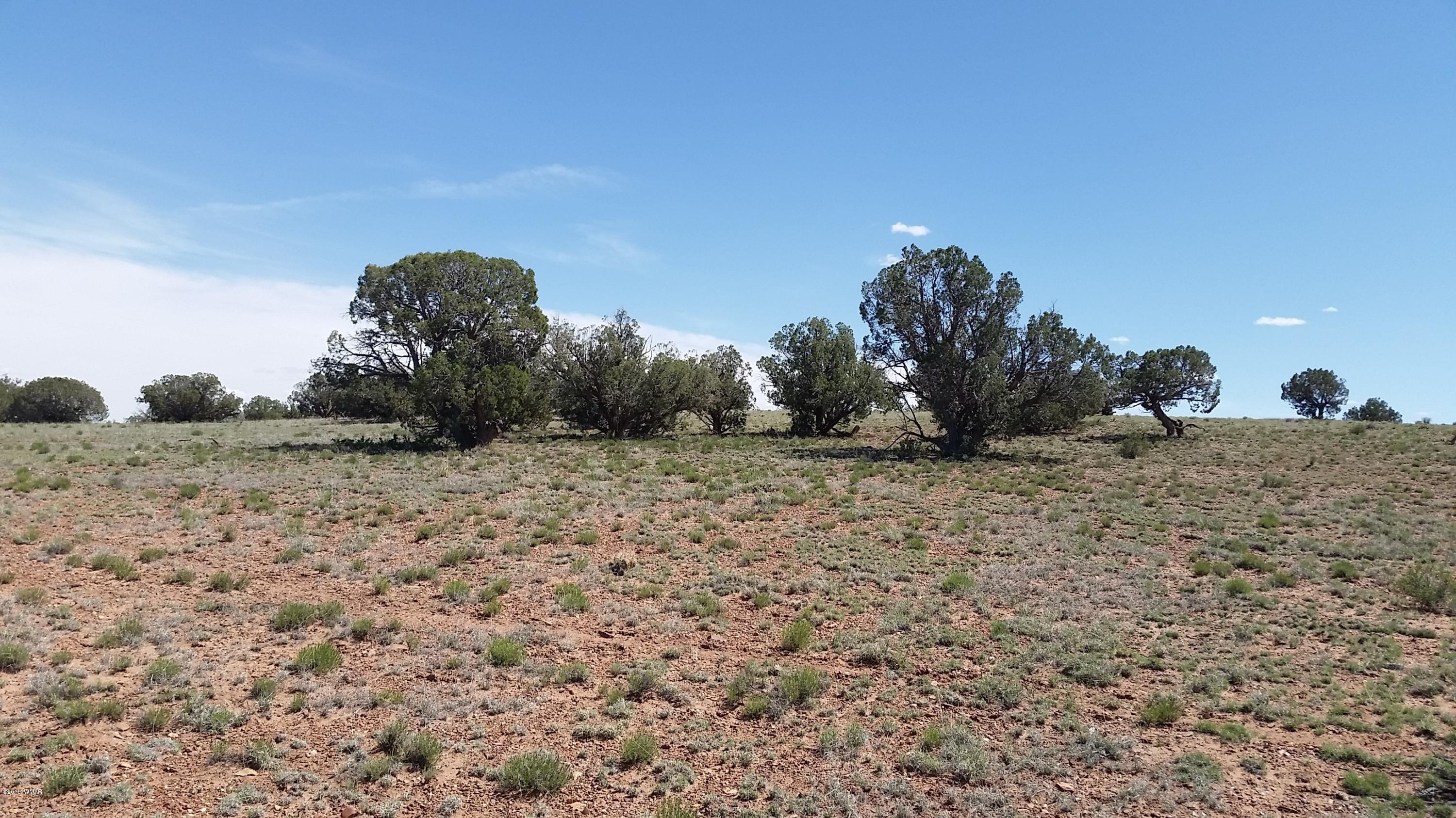 346 Old Hunt Road Concho, AZ 85924 - Photo 7 of 7