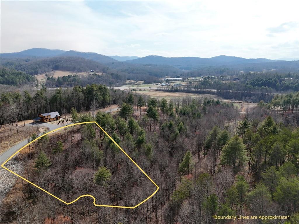0 Ridge Drive Morganton, GA 30560 - Photo 2 of 13 a view of a backyard of a house