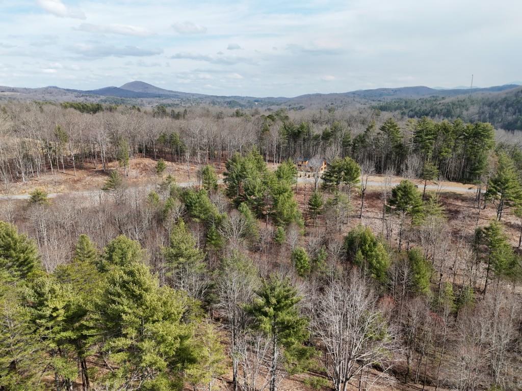 0 Ridge Drive Morganton, GA 30560 - Photo 8 of 13 a view of a town with mountains in the background
