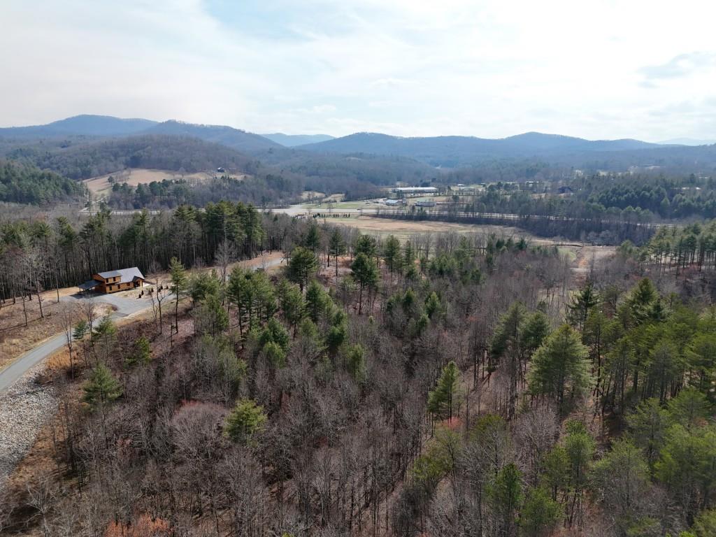 0 Ridge Drive Morganton, GA 30560 - Photo 10 of 13 a view of a town with mountains in the background
