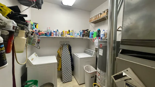 a view of a yard with plants and a large tree