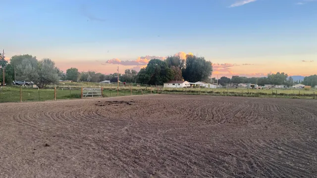 a view of a field and trees