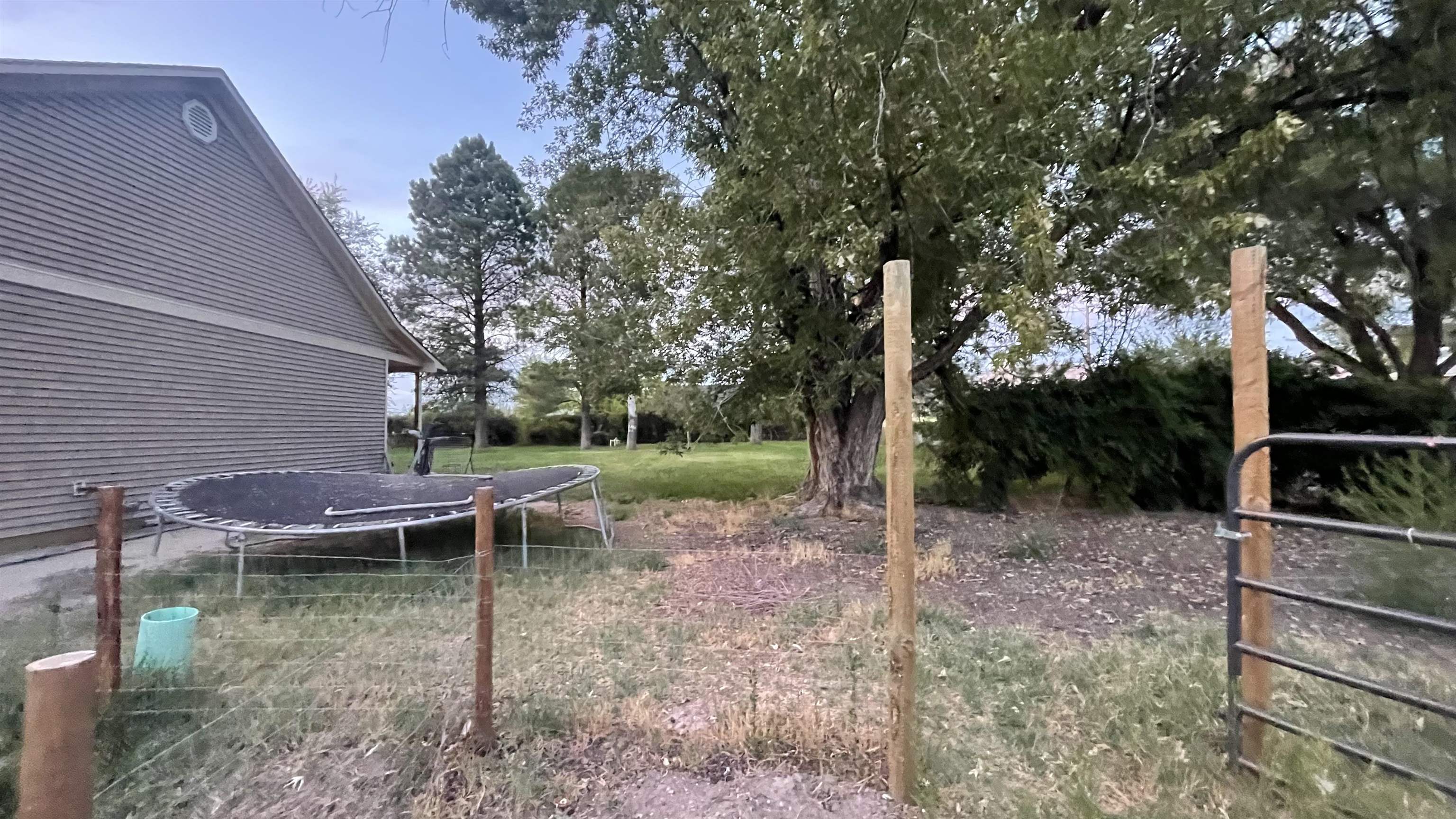 3049 F F 3/4 Road Grand Junction, CO 81504 - Photo 6 of 19 a backyard of a house with lots of green space