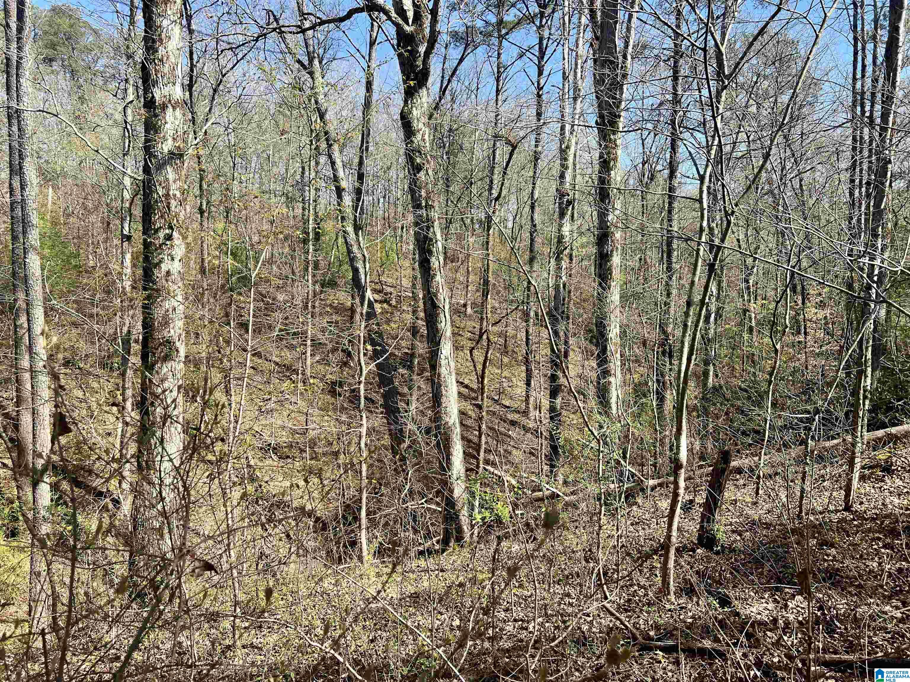 0 Lakeshore Lane, Unit 4 Oneonta, AL 35121 - Photo 41 of 49