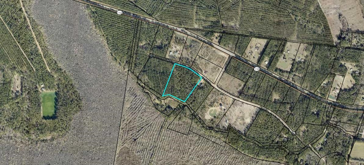 Lot 16 Forest Trace Waverly, GA 31565 - Photo 1 of 1