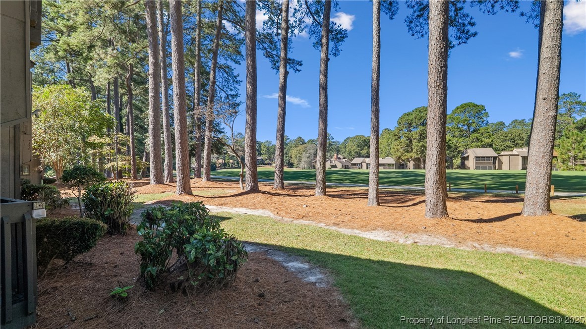 115 Beulah Hill Road South, Unit 111 Pinehurst, NC 28374 - Photo 19 of 32 a view of a park with large trees