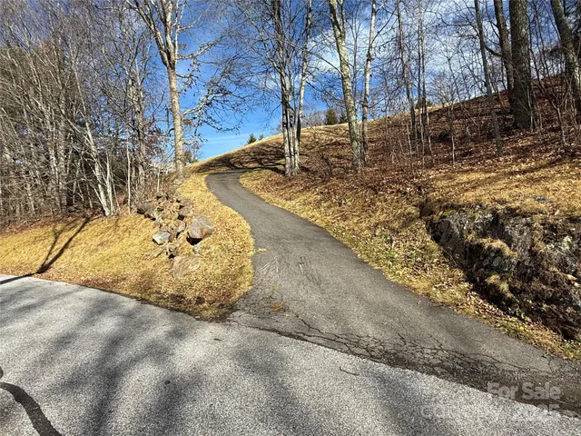a view of a yard with large trees