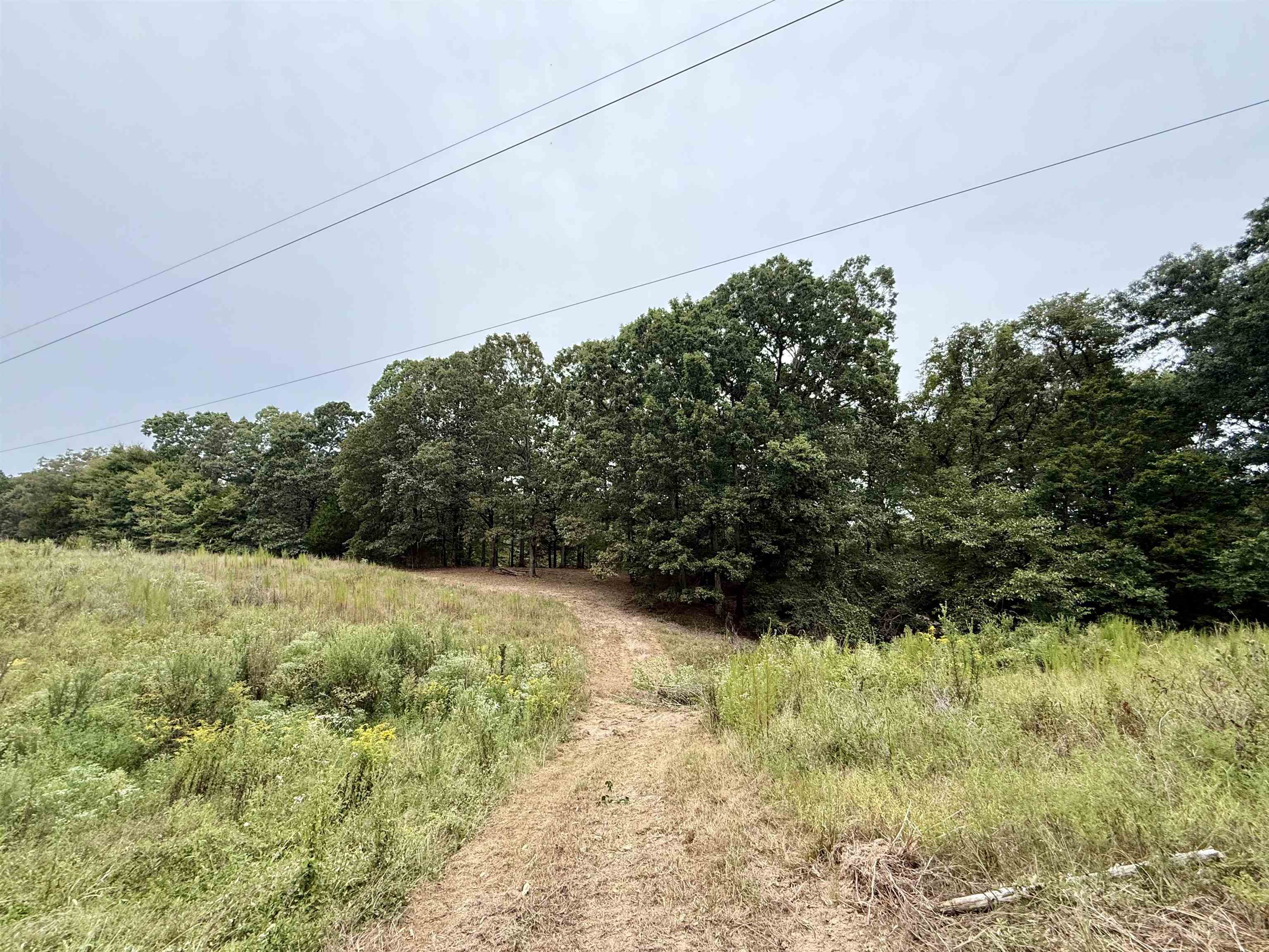 6235 McKinstry Road Moscow, TN 38057 - Photo 37 of 40