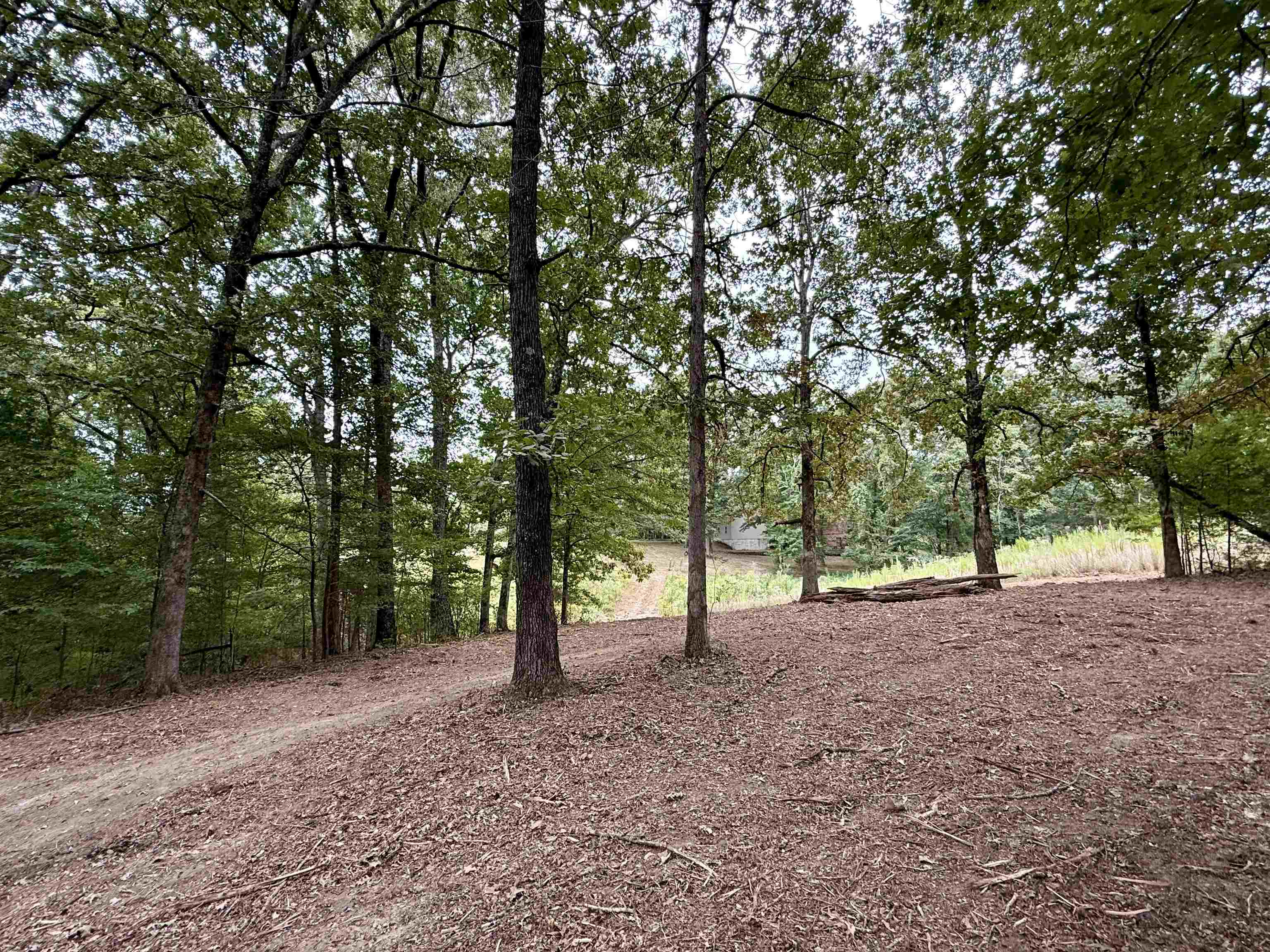 6235 McKinstry Road Moscow, TN 38057 - Photo 38 of 40