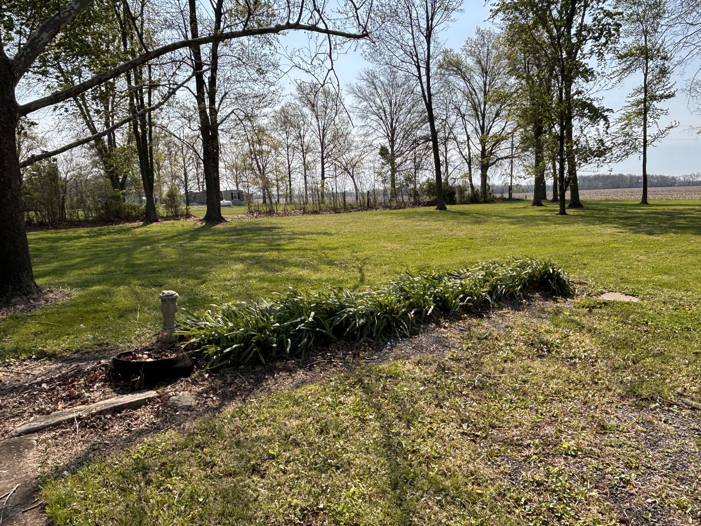 15662 East Nolan Road Mount Vernon, IL 62864 - Photo 4 of 46 Gallery Image 4