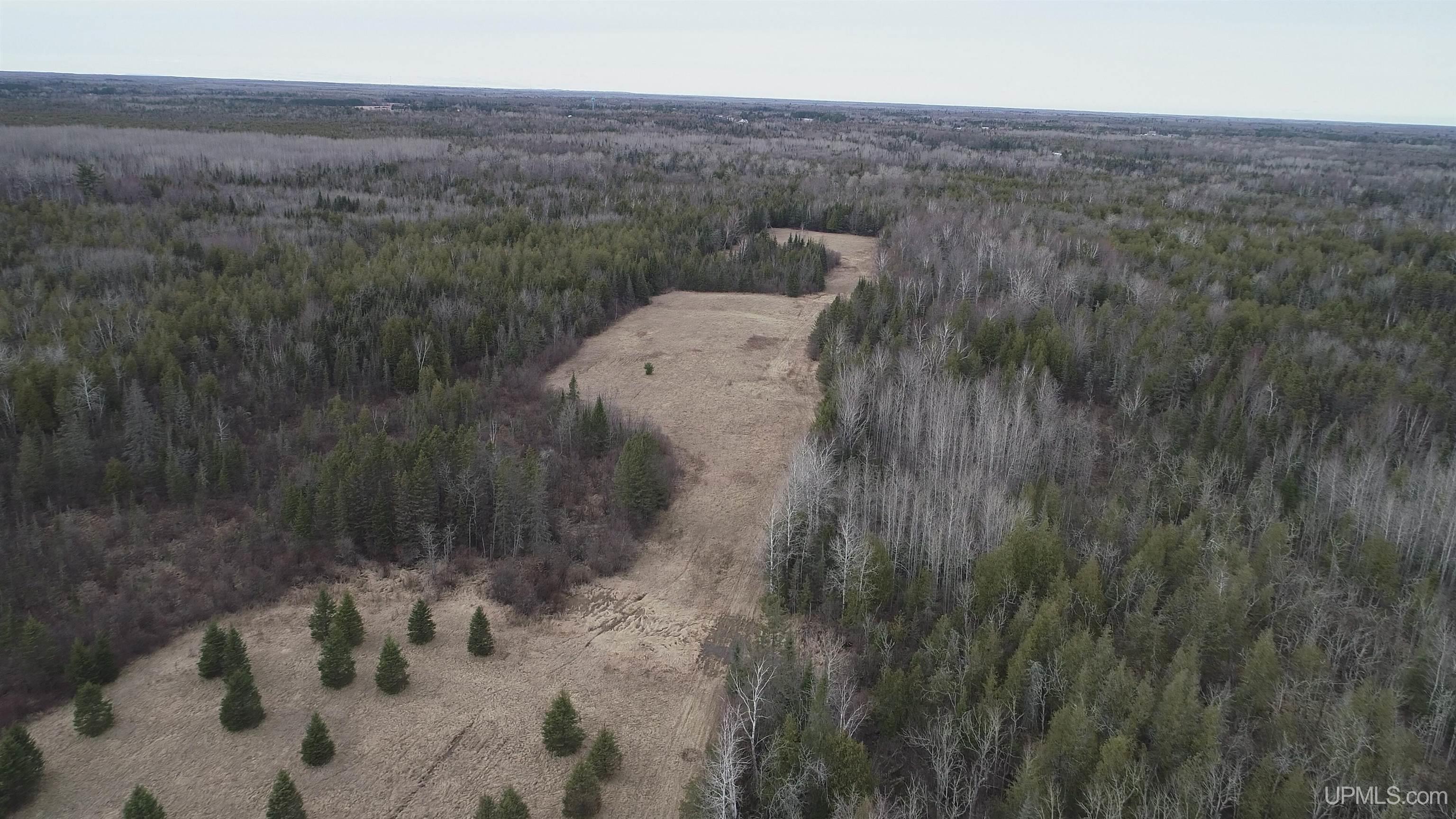 40-acres Trombley 35th Road Rock, MI 49880 - Photo 39 of 62