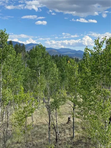 a view of a yard with plants and a bench