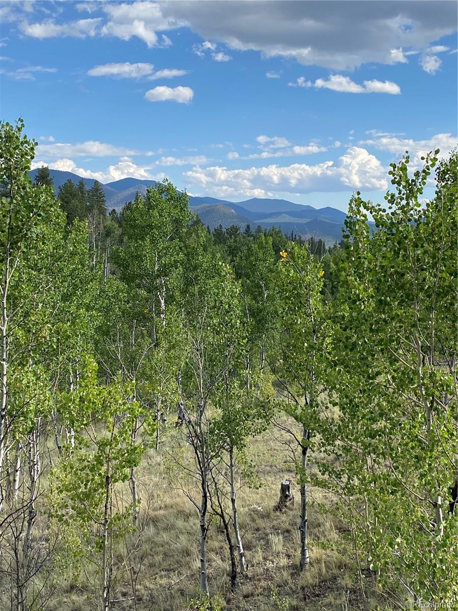 a view of a yard with plants and a bench