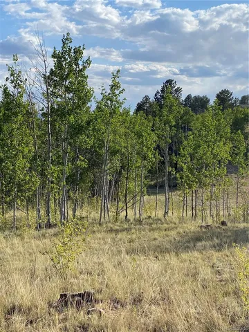 a view of outdoor space with trees all around