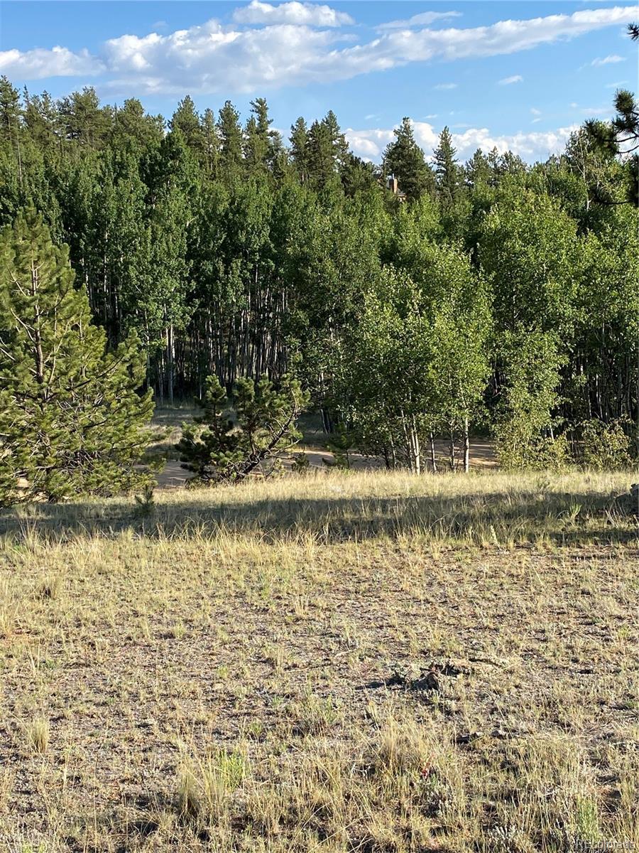 217 Bordenville Road Jefferson, CO 80456 - Photo 12 of 22