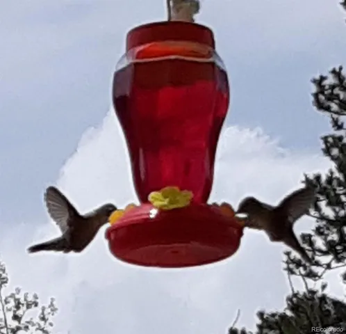 a view of outside with lake view