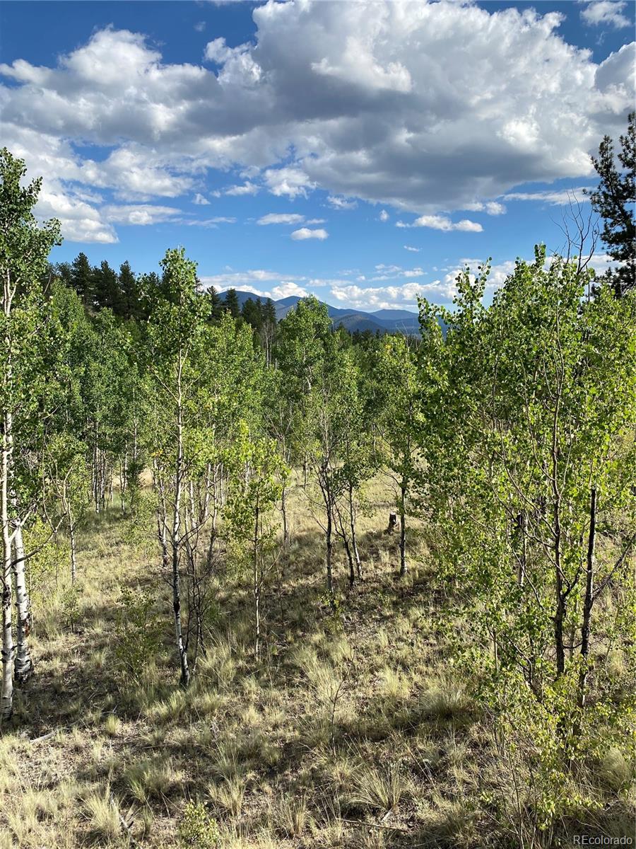 217 Bordenville Road Jefferson, CO 80456 - Photo 2 of 22