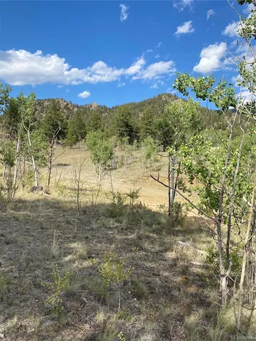 a view of a yard with an trees