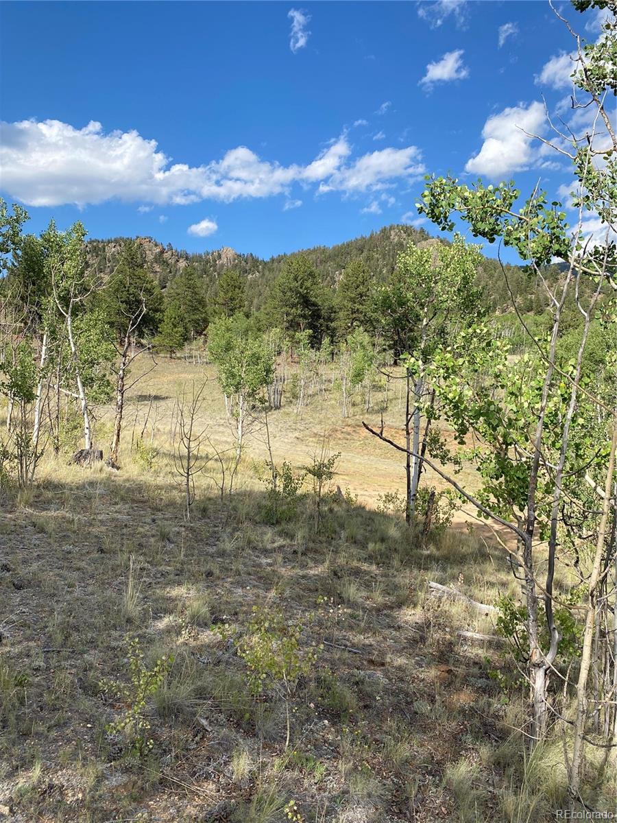 217 Bordenville Road Jefferson, CO 80456 - Photo 3 of 22