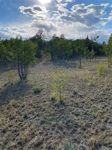 a view of a lush green forest with lots of green space