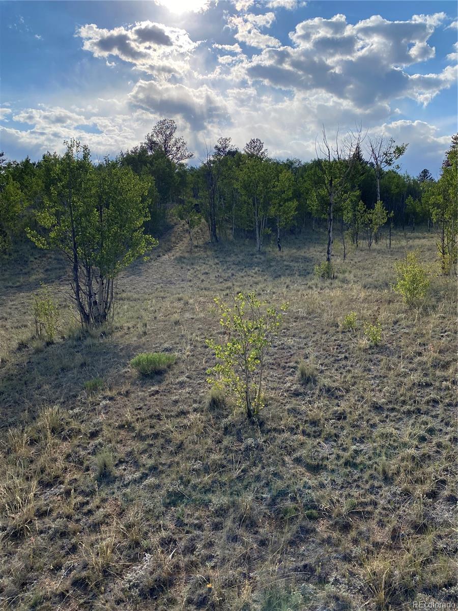 217 Bordenville Road Jefferson, CO 80456 - Photo 8 of 22