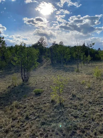 a view of a field with lots of green space