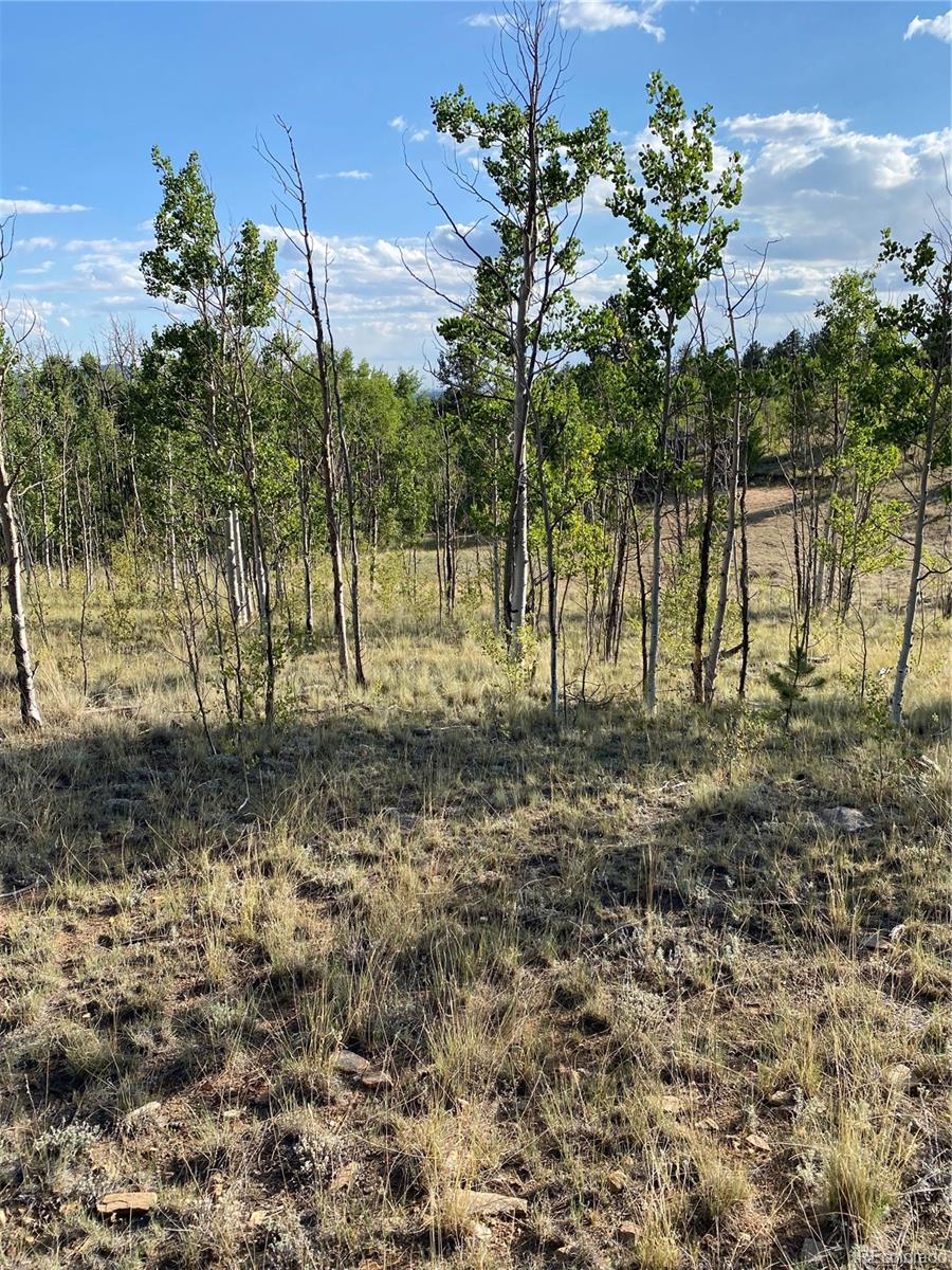 217 Bordenville Road Jefferson, CO 80456 - Photo 10 of 22