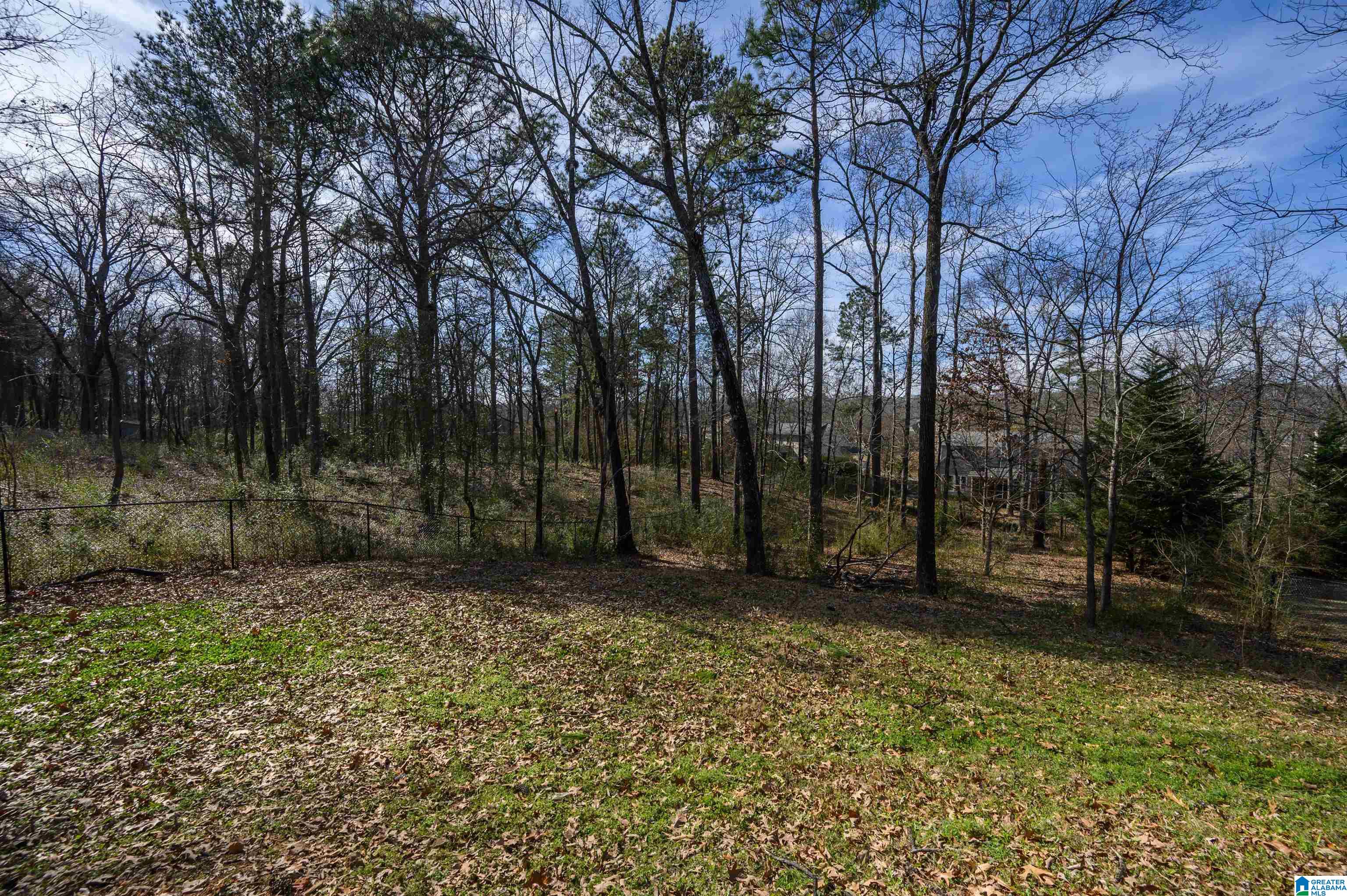 3641 Guyton Ridge Drive Birmingham, AL 35244 - Photo 54 of 70