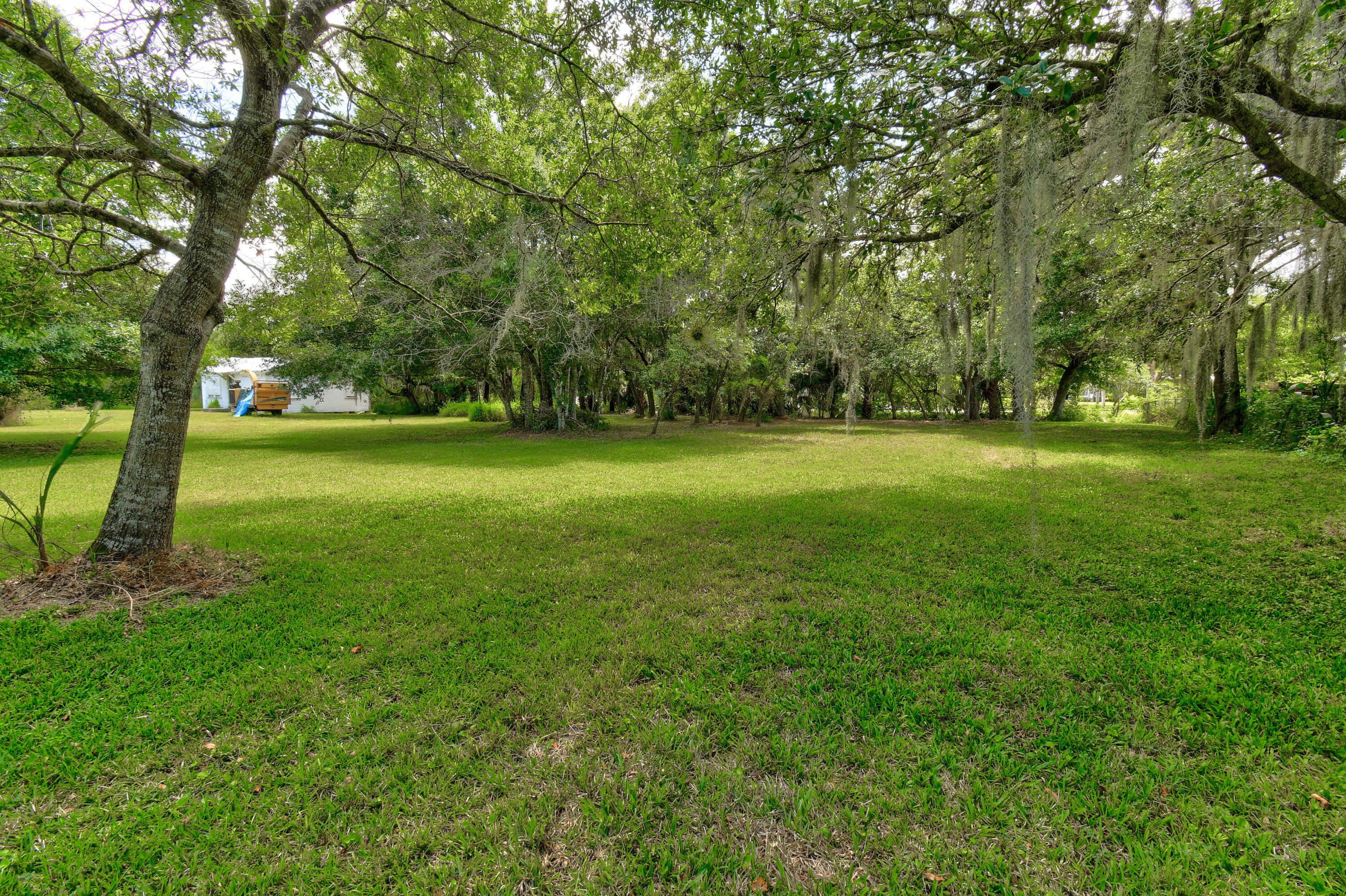332 Southwest Salerno Road Stuart, FL 34997 - Photo 8 of 17 a view of a big yard with a trees