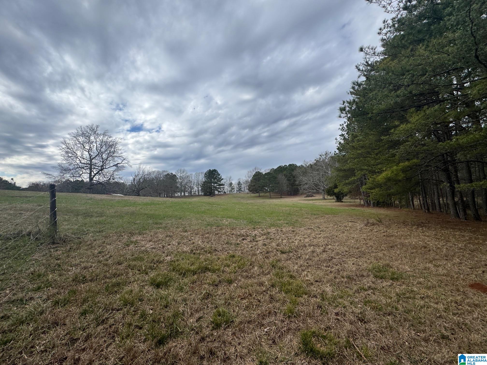 3953 Logan Martin Dam Road Cropwell, AL 35054 - Photo 76 of 99