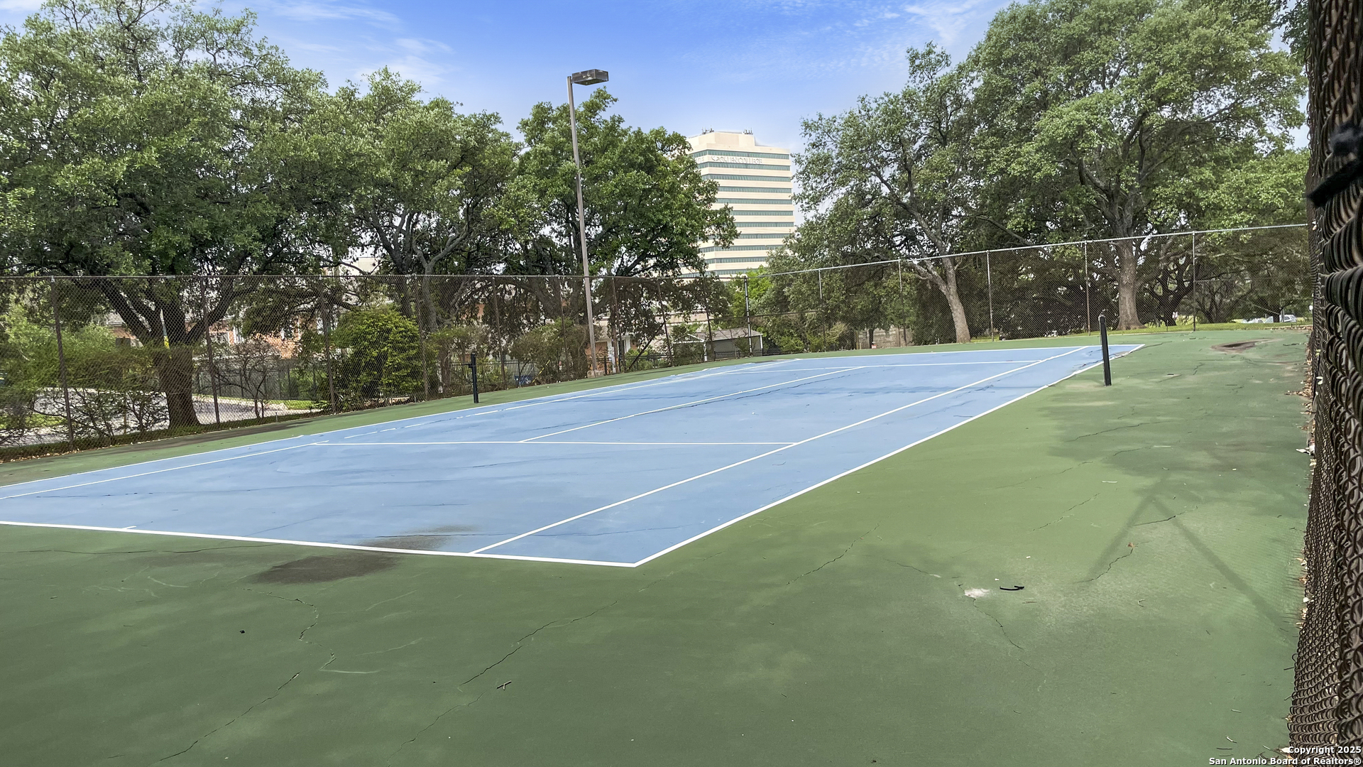 7701 Wurzbach Road, Unit 703 San Antonio, TX 78229 - Photo 28 of 28 a backyard of a house with lots of green space