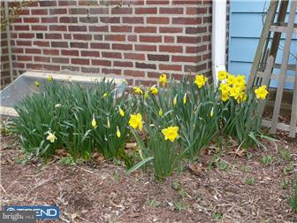 416 Lanfair Road Cheltenham, PA 19012 - Photo 10 of 11 Gallery Image 10