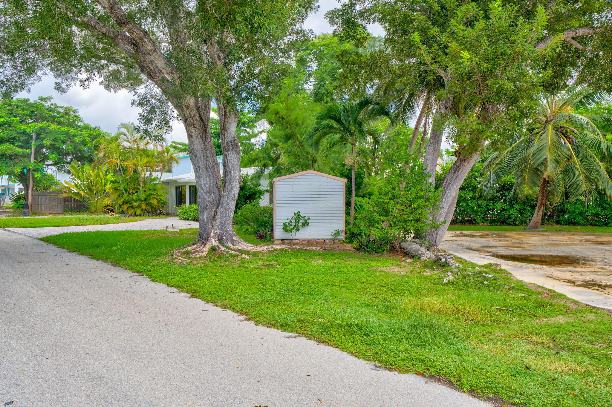 446 Largo Avenue Key Largo, FL 33037 - Photo 17 of 18 a view of a garden with a tree