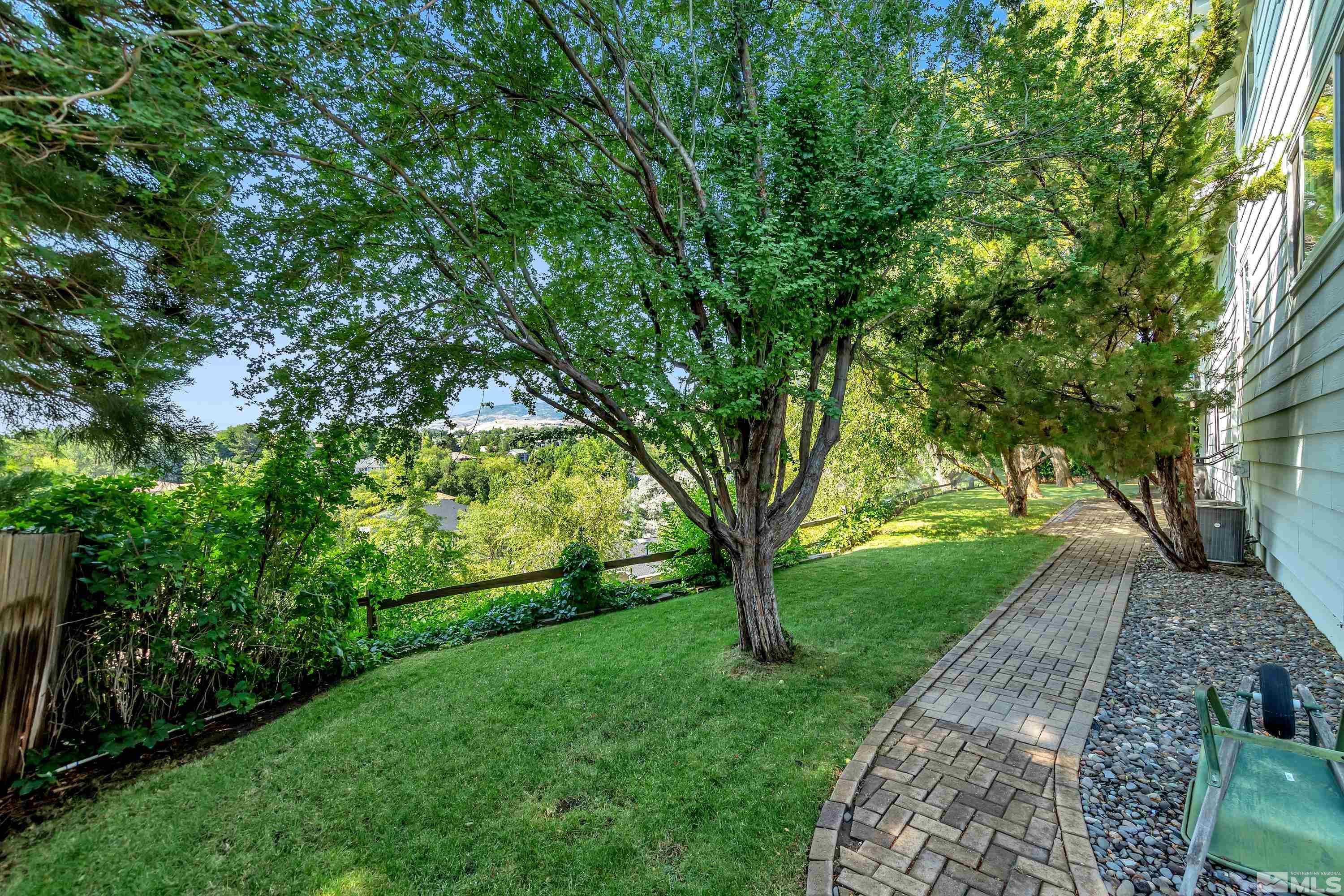 2370 Fireside Circle Reno, NV 89509 - Photo 3 of 29 a view of a yard with plants and a large trees