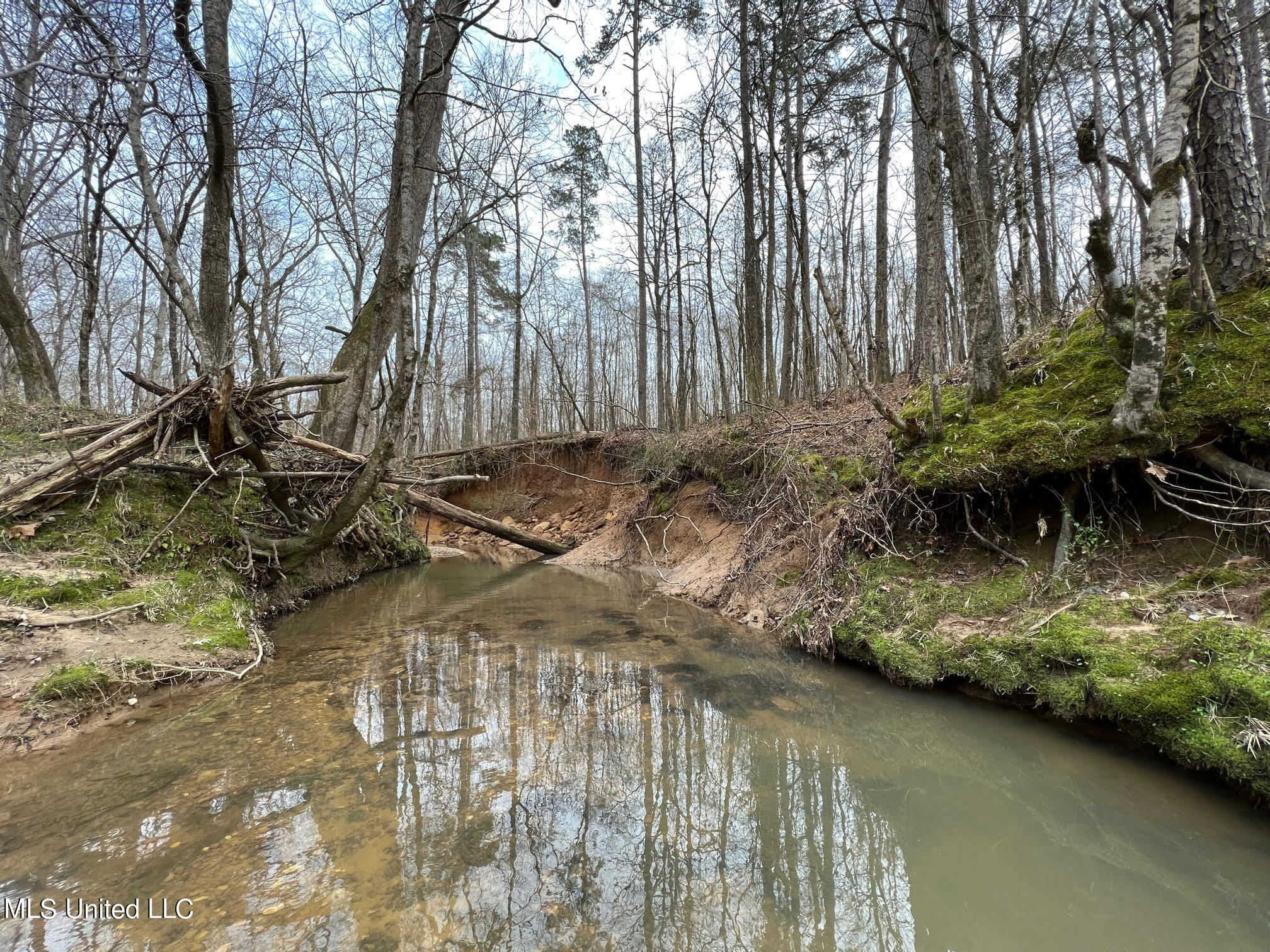 0 Midway Road Wesson, MS 39191 - Photo 6 of 35 6