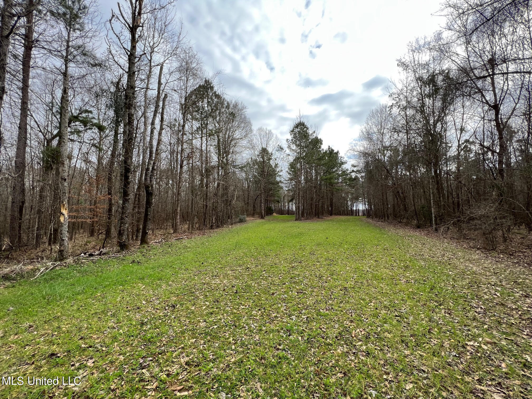 0 Midway Road Wesson, MS 39191 - Photo 9 of 35 10