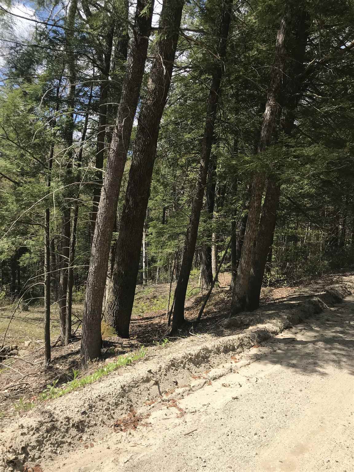 Dick Brown Road Bristol, NH 03222 - Photo 2 of 6