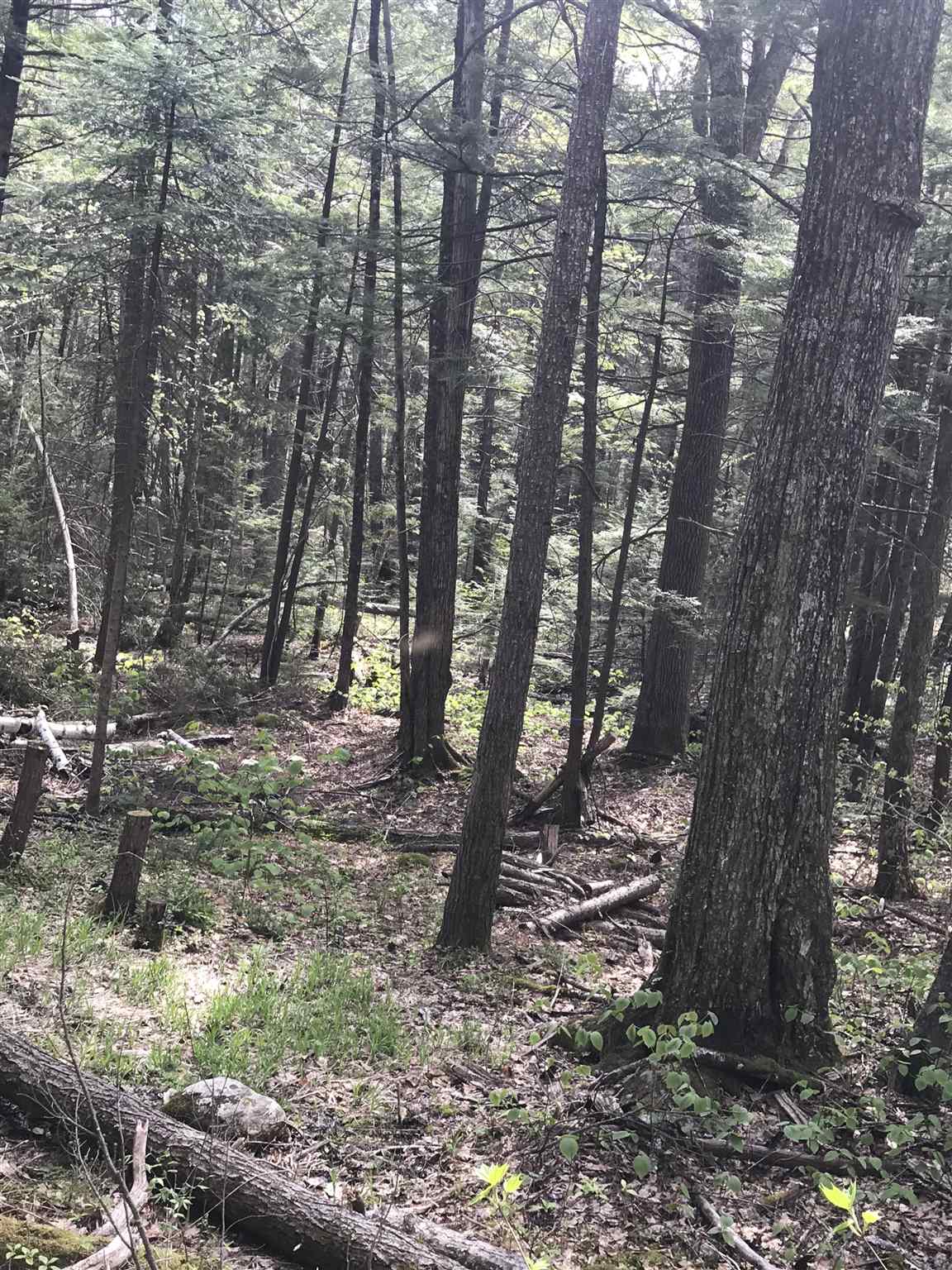 Dick Brown Road Bristol, NH 03222 - Photo 3 of 6