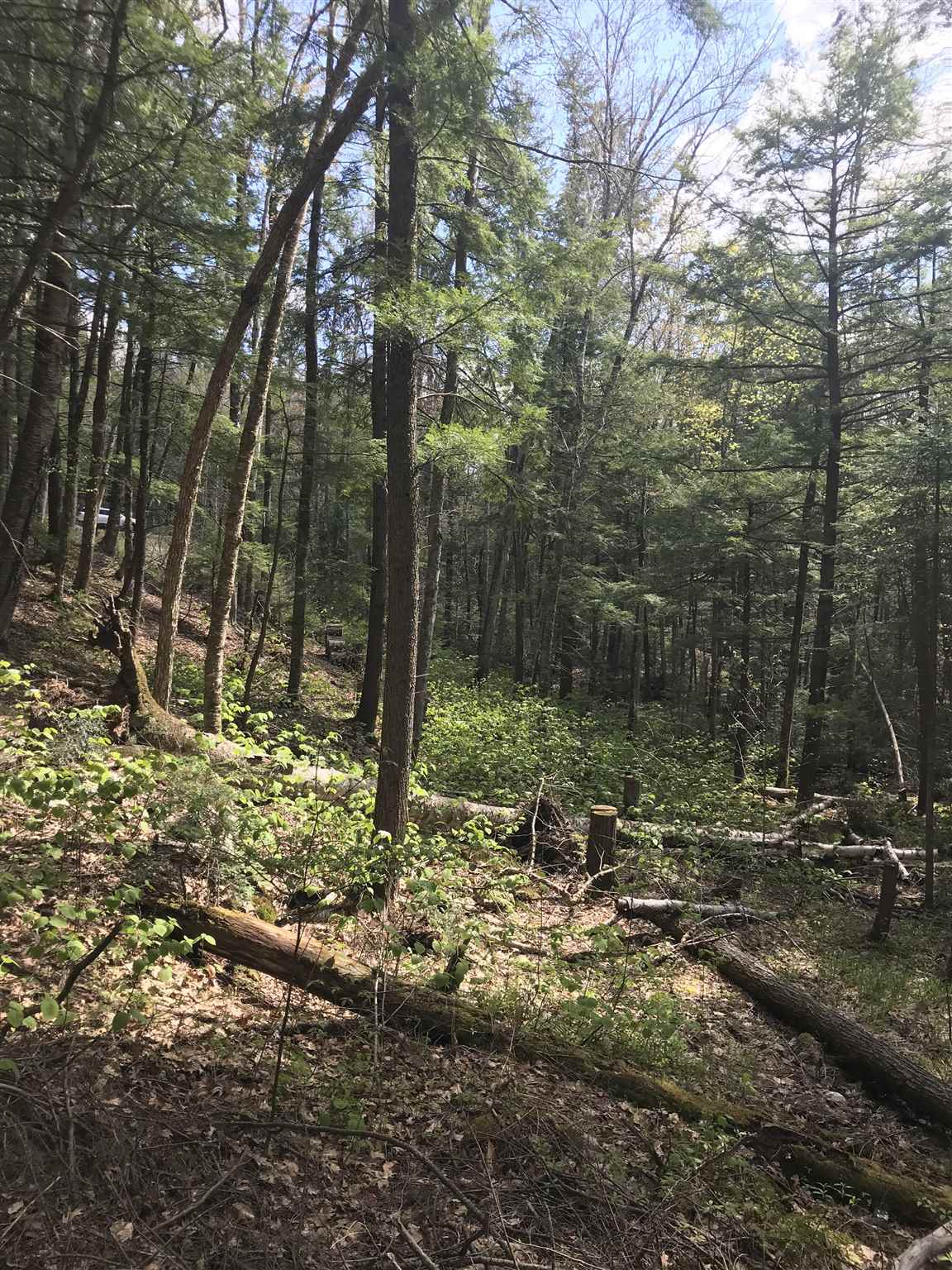 Dick Brown Road Bristol, NH 03222 - Photo 5 of 6