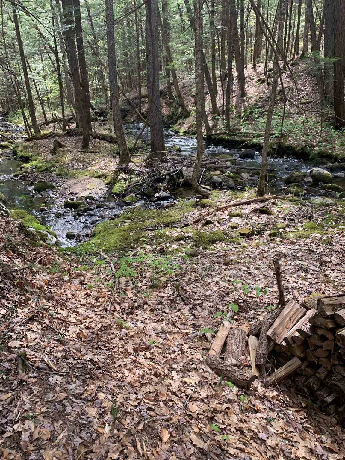 Dick Brown Road Bristol, NH 03222 - Photo 6 of 6