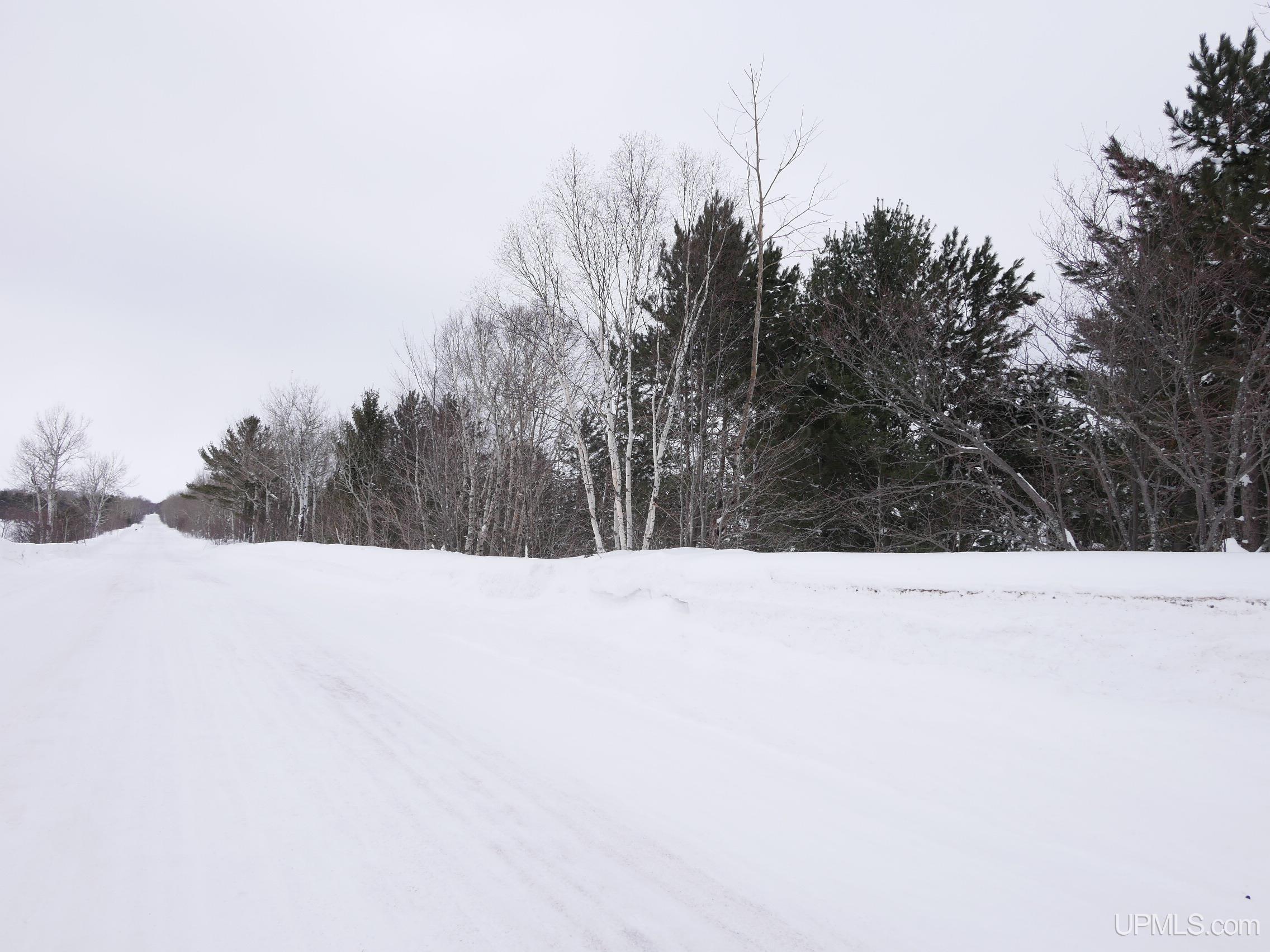 Parcel D Puuri Road Atlantic Mine, MI 49905 - Photo 10 of 13 Gallery Image 10