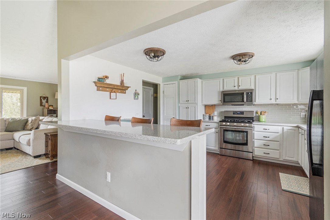 8370 Herbert Road Canfield, OH 44406 - Photo 35 of 48 Kitchen with backsplash, stainless steel appliances, white cabinetry, and dark wood-type flooring