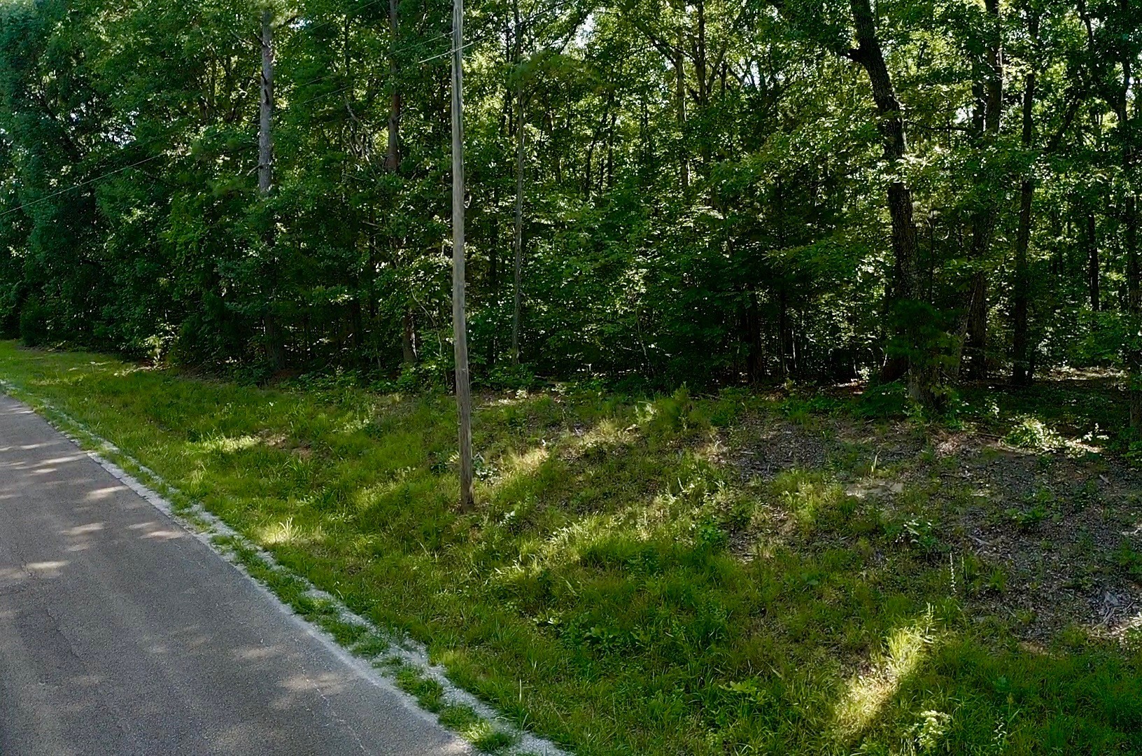 0 Jeanette Holladay Road Holladay, TN 38341 - Photo 3 of 8