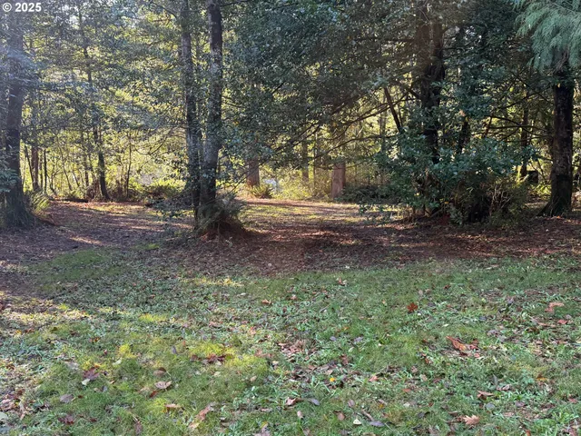 $125,000 | Tiernan Road, Unit 100, Mapleton, OR 97453