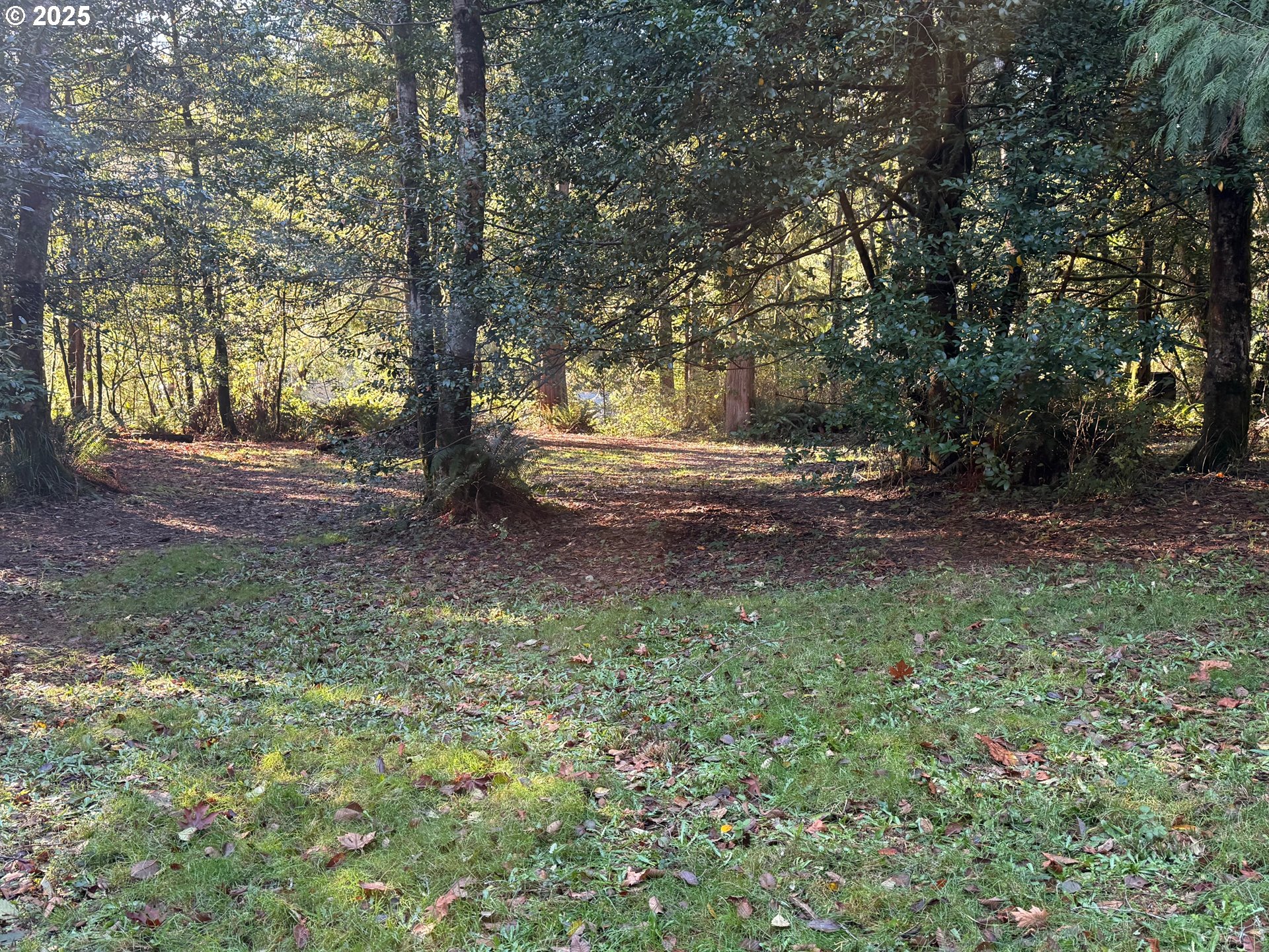 Tiernan Road, Unit 100 Mapleton, OR 97453 - Photo 2 of 10