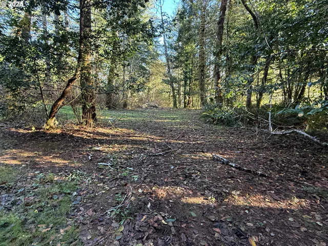 $125,000 | Tiernan Road, Unit 100, Mapleton, OR 97453