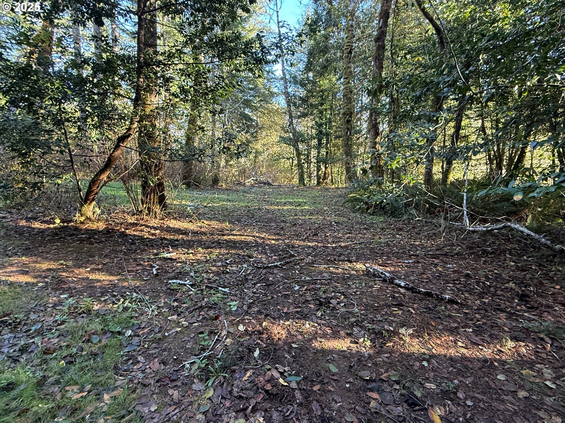 Tiernan Road, Unit 100 Mapleton, OR 97453 - Photo 3 of 10