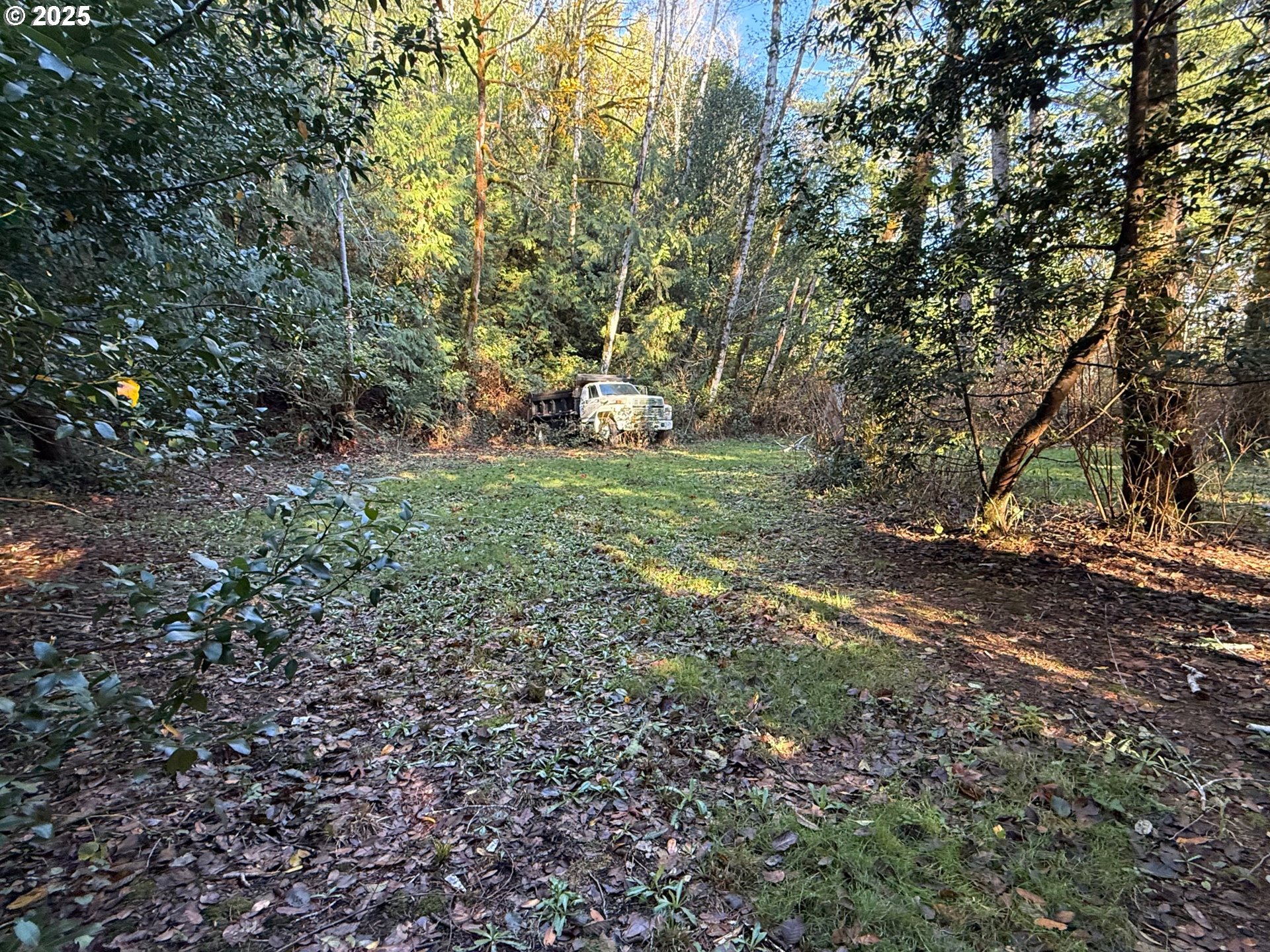 Tiernan Road, Unit 100 Mapleton, OR 97453 - Photo 4 of 10